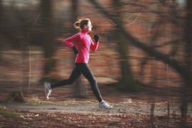Sub-1hr sessions: run builder