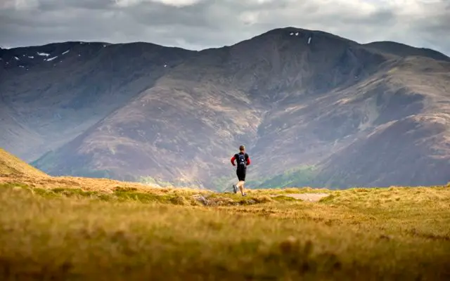 What is base fitness?