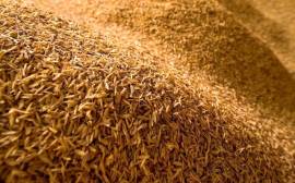 What is ‘carb cycling’ and is it suitable for triathletes?