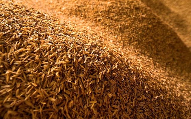 What is ‘carb cycling’ and is it suitable for triathletes?