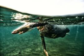 Master the winter waters in 10 (moderately easy) steps