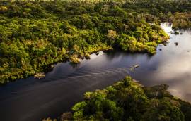 Challenge head to Amazonia