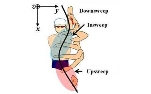 Front crawl technique: S-stroke or I-stroke?