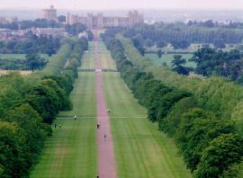 Human Race release statement regarding Windsor Triathlon incident