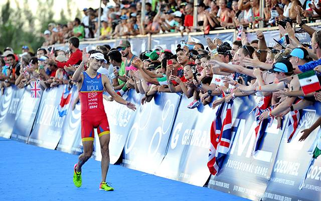 Mola accuses Brownlee of obstruction in swim