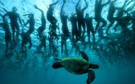 Stunning images from Kona 2016