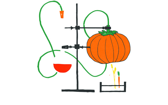Triathlon nutrition: 6 tips for the off-season