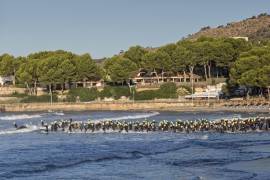 Challenge Peguera Mallorca in pictures