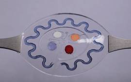 New skin patch that analyses sweat during exercise has been developed