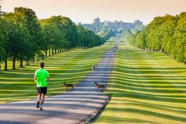 New run course and name for Windsor tri
