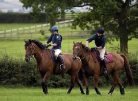 How to cycle past a horse and rider safely