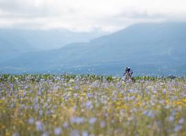 Ironman Austria drafting controversy highlights wider problems