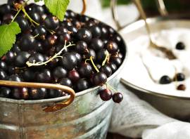 Blackcurrant found to boost performance