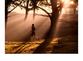 Are you more prone to injuries if you run early in the morning?