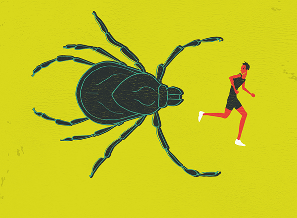 Lyme disease: why we need to tackle it now