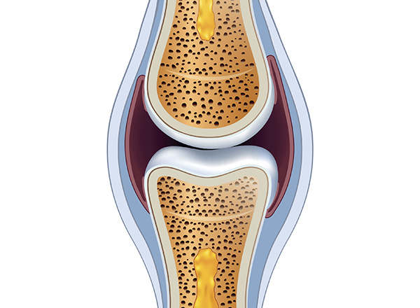 Synovial fluid: what is it and how does exercise affect it?