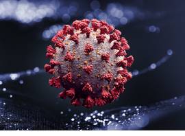 How does exercise affect your immune system and your ability to fight off coronavirus?