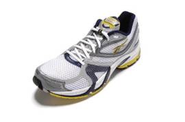 Reebok Premier Road Plus KFS V