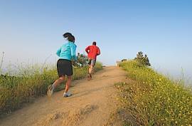 Run Free, Run Fast