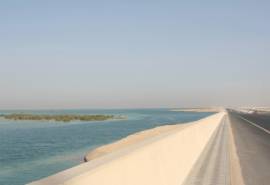 Men’s pro field unveiled for Abu Dhabi