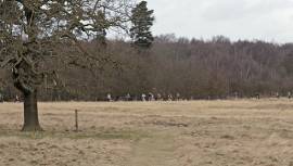 Extra places for Clumber