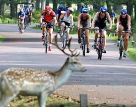 London Duathlon 2011 partners with Macmillan Cancer Support