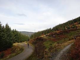 Whinlatter Duathlon 2011 race report