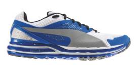 Correction: Puma Fass 800