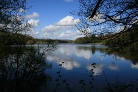 Vachery Triathlon Festival preview
