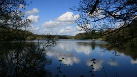Vachery Triathlon Festival announces new open-water swim races