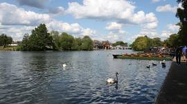 Windsor Tri entries open on Thursday