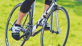 Quintana Roo – Kilo Carbon