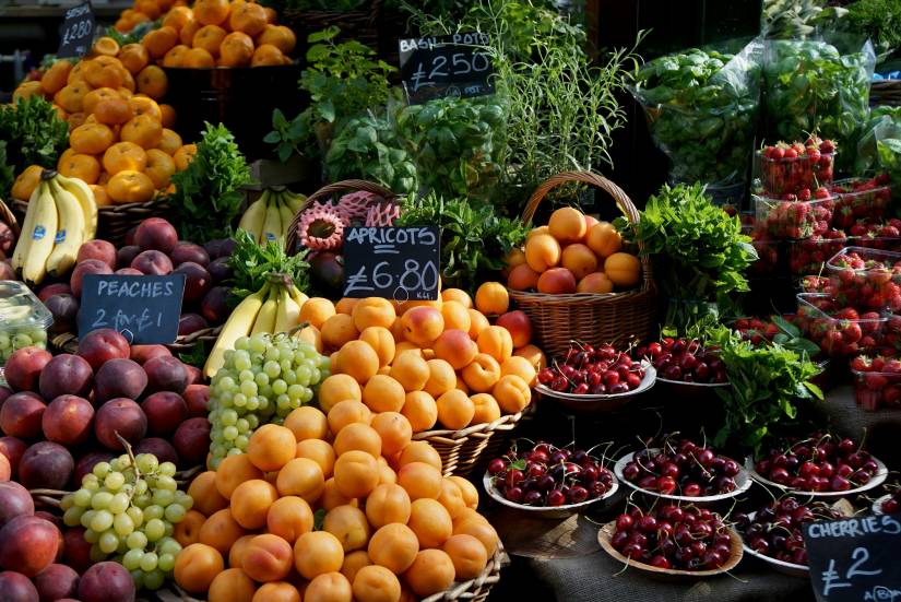 Essential foods and nutrients athletes need in their diet