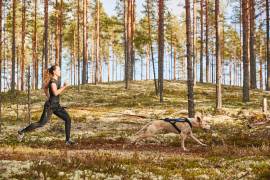 How to start training for canicross
