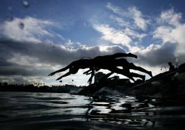 World Triathlon allow transgender women to compete in female category