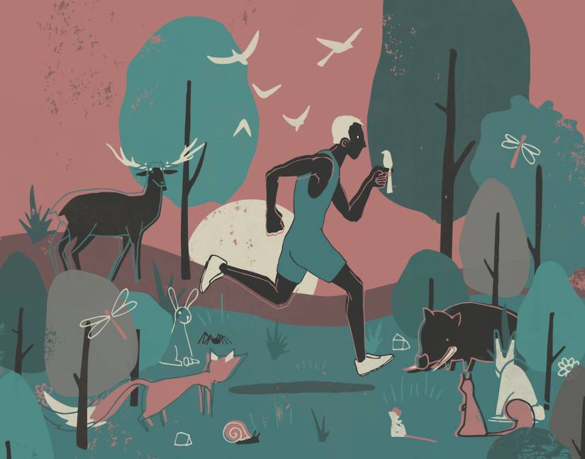 The triathlete’s guide to the off-season