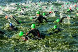 Browse our selection of free training plans for new beginner triathletes