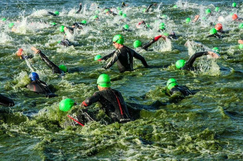 Browse our selection of free training plans for new beginner triathletes
