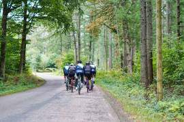 Free 6-month Olympic-distance triathlon training plan
