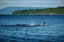 Free Olympic-distance triathlon training plans 