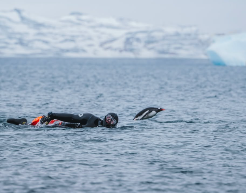 “I’ll never put myself in that position again.” Spencer Matthews completes swim in sub-zero Antarctic waters