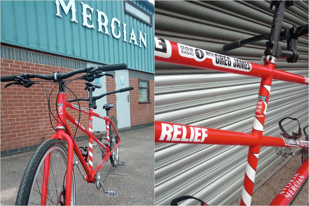 Collage showing details of Tando Norris frame